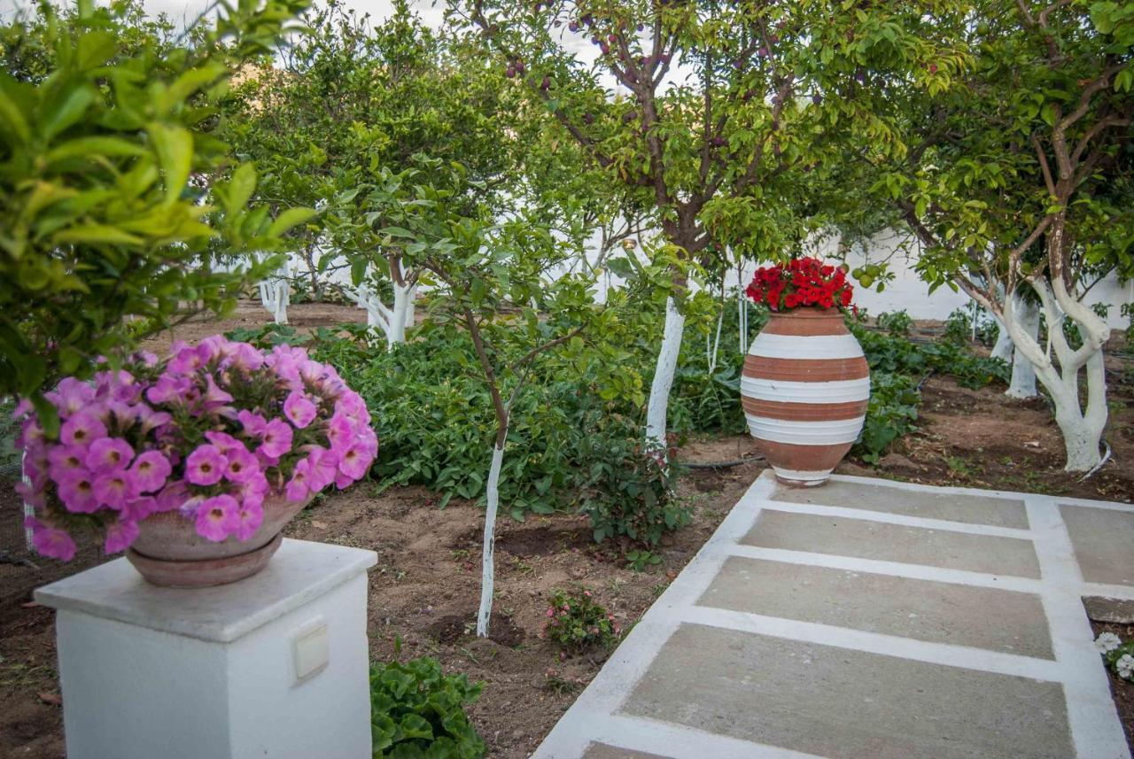 Apartamento Perivoli 3-Chora Agkidia Exterior foto