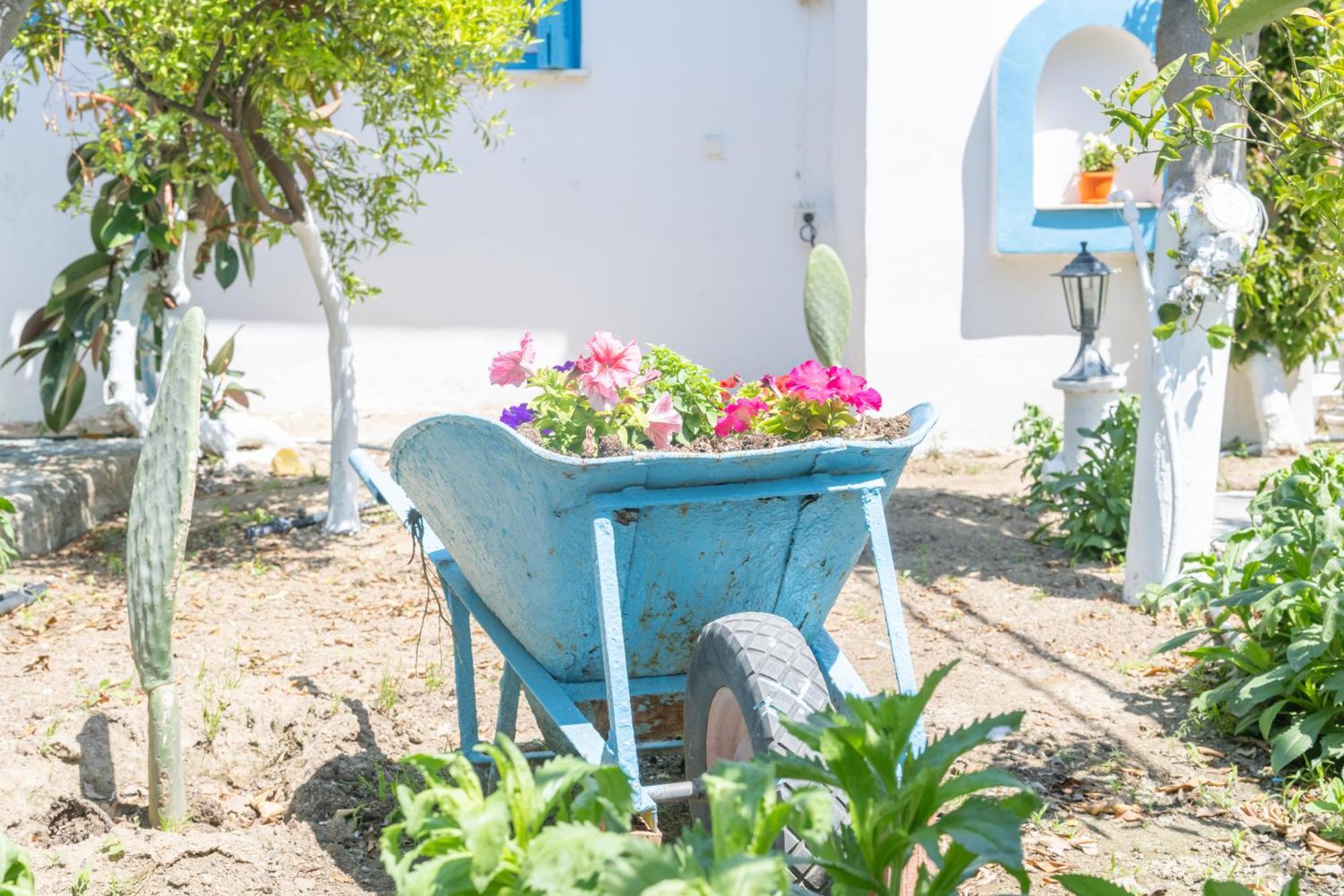 Apartamento Perivoli 3-Chora Agkidia Exterior foto